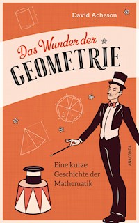 Das Wunder der Geometrie. Eine kurze Geschichte der Mathematik - David Acheson - E-Book