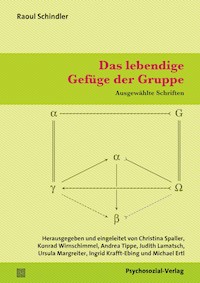 Das lebendige Gefüge der Gruppe - Raoul Schindler - E-Book