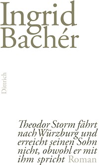 Theodor Storm fährt nach Würzburg und erreicht seinen Sohn nicht, obwohl er mit ihm spricht - Ingrid Bachér - E-Book