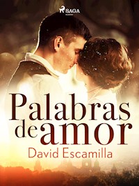 Palabras de amor - David Escamilla Imparato - E-Book