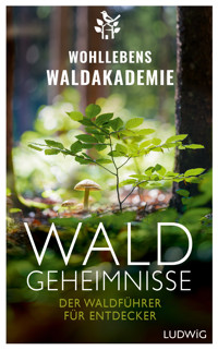 Waldgeheimnisse - Wohllebens Waldakademie - E-Book