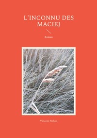 L'inconnu des Maciej - Vincent Pithon - E-Book