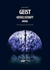 Geist-Gesellschaft-Droge - Benjamin Fässler - E-Book