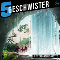 46: Die verborgene Grotte - Tobias Schuffenhauer - Hörbuch