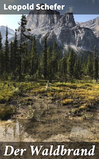 Der Waldbrand - Leopold Schefer - E-Book