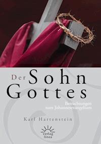 Der Sohn Gottes - Karl Hartenstein - E-Book
