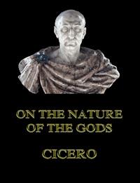 On the Nature of the Gods - Cicero - E-Book