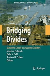 Bridging Divides -  - E-Book