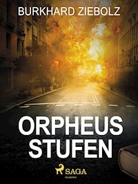 Orpheus Stufen - Kriminalroman - Burkhard Ziebolz - E-Book