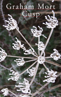 Cusp - Graham Mort - E-Book