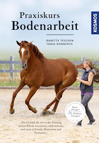Praxiskurs Bodenarbeit - Babette Teschen - E-Book