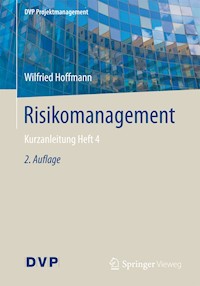 Risikomanagement - Wilfried Hoffmann - E-Book