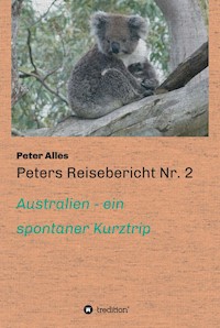 Peters Reisebericht Nr. 2 - Peter Alles - E-Book