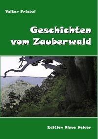 Geschichten vom Zauberwald - Volker Friebel - E-Book