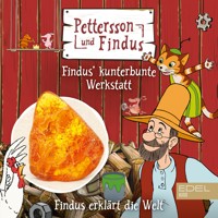 Findus erklärt die Welt: Findus kunterbunte Werkstatt - Ishel U. Eichler - Hörbuch