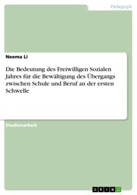 Die Bedeutung des Freiwilligen Sozialen Jahres für die Bewältigung des Übergangs zwischen Schule und Beruf an der ersten Schwelle - Neema Li - E-Book