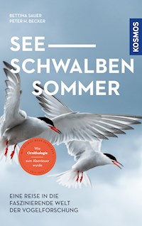 Seeschwalbensommer - Bettina Sauer - E-Book