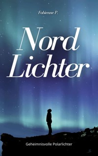 Nordlichter - Fabienne P. - E-Book