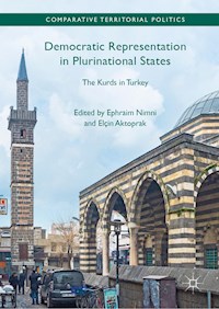 Democratic Representation in Plurinational States - - E-Book