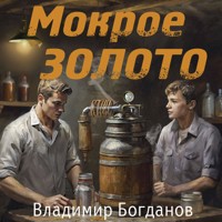 Мокрое золото - Владимир Богданов - Hörbuch