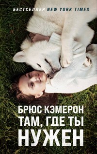 Там, где ты нужен - Брюс Кэмерон - E-Book