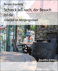 Schreck laß nach, der Besuch ist da - Renate Kronberg - E-Book