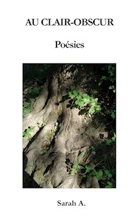 Au Clair-Obscur - Sarah A. - E-Book