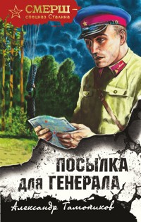 Посылка для генерала - Тамоников Александр - E-Book