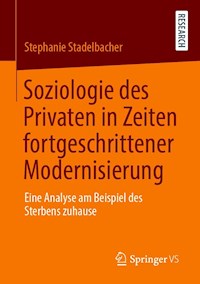 Soziologie des Privaten in Zeiten fortgeschrittener Modernisierung - Stephanie Stadelbacher - E-Book