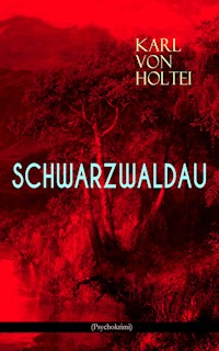 Schwarzwaldau (Psychokrimi) - Karl von Holtei - E-Book