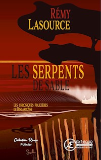 Les chroniques policières de Biscarrosse - Tome 4 - Rémy Lasource - E-Book