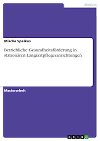 Betriebliche Gesundheitsförderung in stationären Langzeitpflegeeinrichtungen - Mischa Spelkus - E-Book