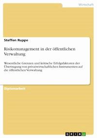 Risikomanagement in der öffentlichen Verwaltung - Steffen Ruppe - E-Book