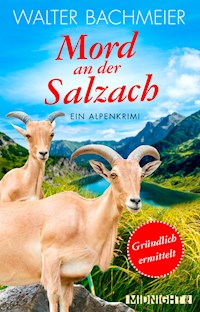 Mord an der Salzach - Walter Bachmeier - E-Book