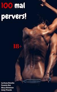 100 mal pervers! - Lariana Bouche - E-Book