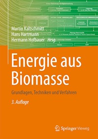 Energie aus Biomasse -  - E-Book