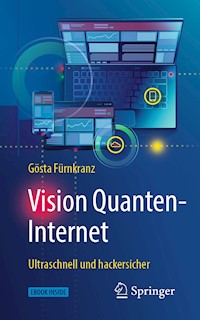 Vision Quanten-Internet - Gösta Fürnkranz - E-Book
