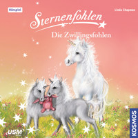 Sternenfohlen, Teil 22: Die Zwillingsfohlen - Linda Chapmann - Hörbuch