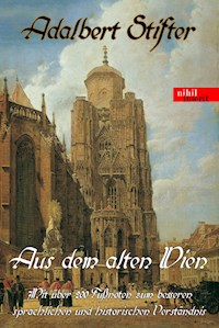 Aus dem alten Wien - Adalbert  Stifter - E-Book