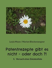 Patentrezepte gibt es nicht - oder doch ?! - Marion Bleckenwegner - E-Book