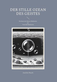 Der Stille Ozean des Geistes - Joachim Nusch - E-Book