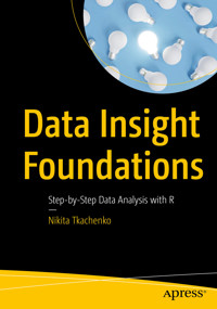Data Insight Foundations - Nikita Tkachenko - E-Book