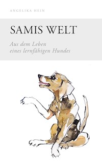 Samis Welt - Angelika Hein - E-Book