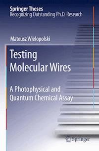 Testing Molecular Wires - Mateusz Wielopolski - E-Book