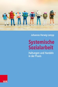 Systemische Sozialarbeit - Johannes Herwig-Lempp - E-Book