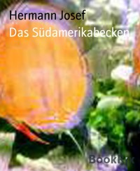 Das Südamerikabecken - Hermann Josef - E-Book