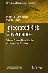 Integrated Risk Governance -  - E-Book