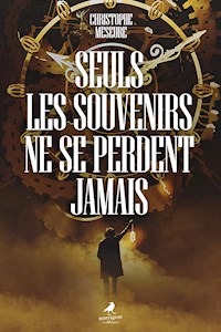 Seuls les souvenirs ne se perdent jamais - Christophe Meseure - E-Book