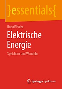 Elektrische Energie - Rudolf Holze - E-Book