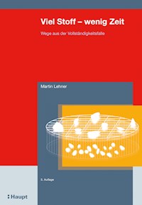 Viel Stoff - wenig Zeit - Martin Lehner - E-Book